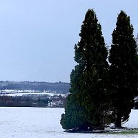 Work on the controversial new crematorium at Bannockburn to start this summer