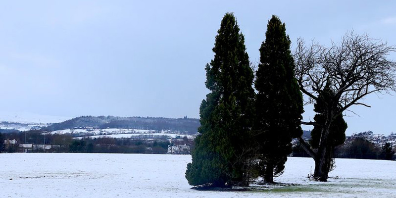 Work on the controversial new crematorium at Bannockburn to start this summer