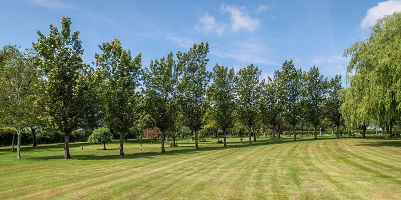 Distinct Cremations offer the option to 'Go Greener'