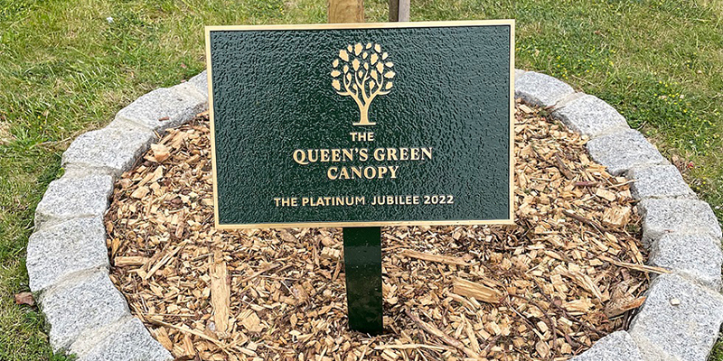 Memorial tree puts Forest Park Cemetery & Crematorium on the map