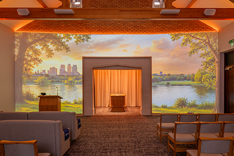 Forest Park Skyline Projection Image